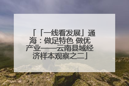 「一线看发展」通海：做足特色 做优产业——云南县域经济样本观察之二