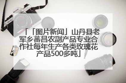 「图片新闻」山丹县老军乡蕃昌农副产品专业合作社每年生产各类玫瑰花产品500多吨