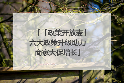 「政策开放麦」六大政策升级助力商家大促增长
