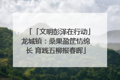 「文明彭泽在行动」龙城镇：桑果盈筐情绵长 育践五柳报春晖