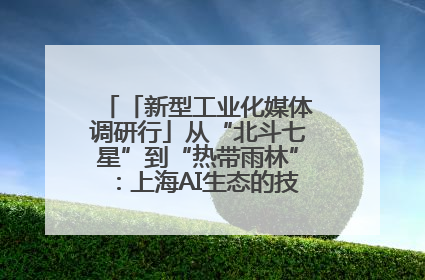 「新型工业化媒体调研行」从“北斗七星”到“热带雨林”：上海AI生态的技术商业共生密码