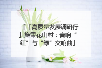 「高质量发展调研行」施秉花山村：奏响“红”与“绿”交响曲