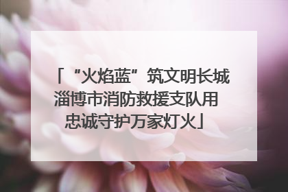 “火焰蓝”筑文明长城 淄博市消防救援支队用忠诚守护万家灯火