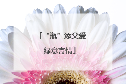 “瓶”添父爱 绿意寄情