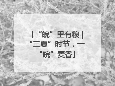 “皖”里有粮｜“三夏”时节，一“皖”麦香