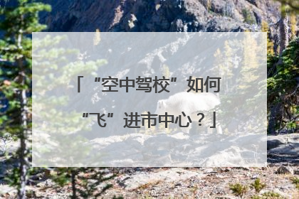 “空中驾校”如何“飞”进市中心？
