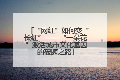 “网红”如何变“长红”——“一朵花”激活城市文化基因的破题之路