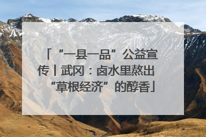 “一县一品”公益宣传丨武冈：卤水里熬出“草根经济”的醇香
