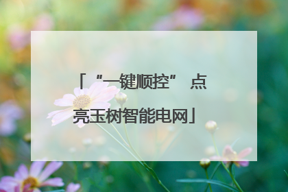 “一键顺控” 点亮玉树智能电网