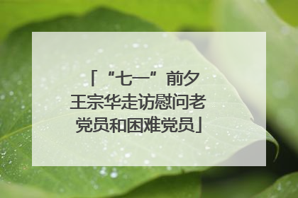 “七一”前夕 王宗华走访慰问老党员和困难党员