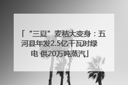 “三夏”麦秸大变身：五河县年发2.5亿千瓦时绿电 供20万吨蒸汽