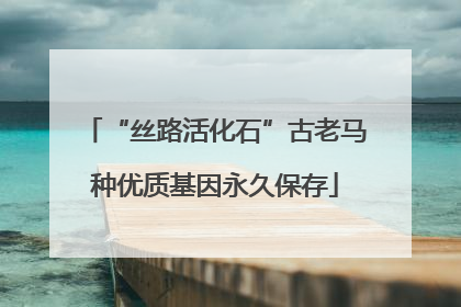 “丝路活化石”古老马种优质基因永久保存