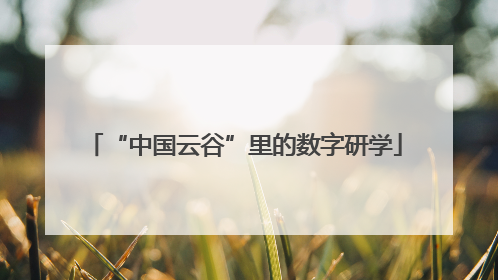 “中国云谷”里的数字研学