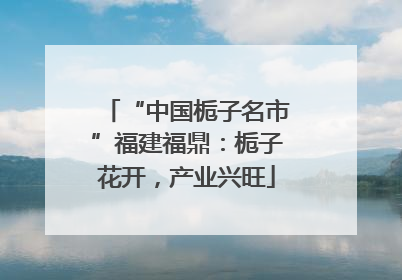 “中国栀子名市”福建福鼎：栀子花开，产业兴旺