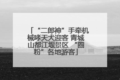 “二郎神”手牵机械哮天犬迎客 青城山都江堰景区 “圈粉”各地游客