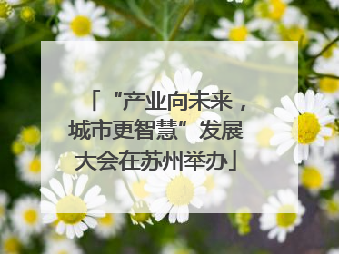 “产业向未来，城市更智慧”发展大会在苏州举办