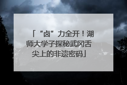 “卤”力全开！湖师大学子探秘武冈舌尖上的非遗密码