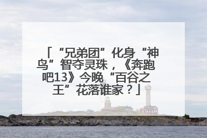 “兄弟团”化身“神鸟”智夺灵珠，《奔跑吧13》今晚“百谷之王”花落谁家？