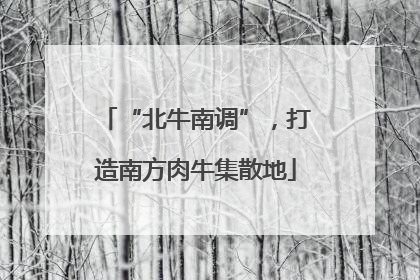 “北牛南调”，打造南方肉牛集散地