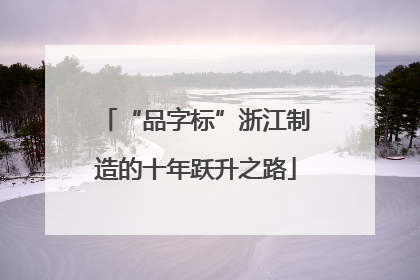 “品字标”浙江制造的十年跃升之路