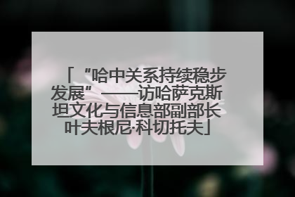 “哈中关系持续稳步发展”——访哈萨克斯坦文化与信息部副部长叶夫根尼·科切托夫