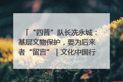 “四普”队长冼永城：基层文物保护，要为后来者“留言”｜文化中国行·我在广东找文物