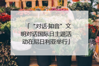 “对话·知音”文明对话国际日主题活动在尼日利亚举行
