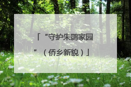“守护朱鹮家园”（侨乡新貌）