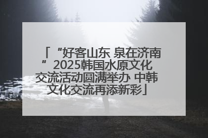 “好客山东 泉在济南”2025韩国水原文化交流活动圆满举办 中韩文化交流再添新彩