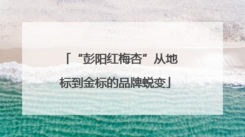 “彭阳红梅杏”从地标到金标的品牌蜕变