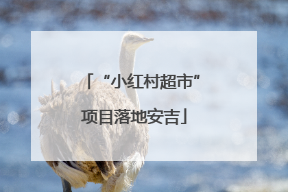 “小红村超市”项目落地安吉