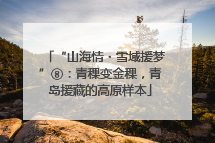 “山海情・雪域援梦”⑧：青稞变金稞，青岛援藏的高原样本