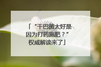 “干巴菌太好是因为打药施肥？”权威解读来了