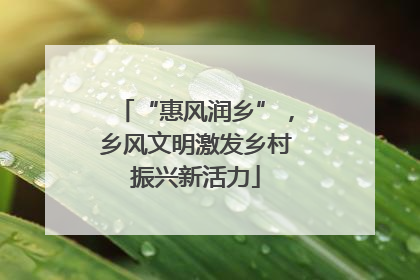 “惠风润乡”，乡风文明激发乡村振兴新活力