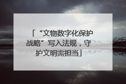“文物数字化保护战略”写入法规，守护文明需担当