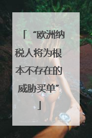 “欧洲纳税人将为根本不存在的威胁买单”