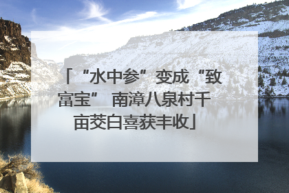 “水中参”变成“致富宝” 南漳八泉村千亩茭白喜获丰收