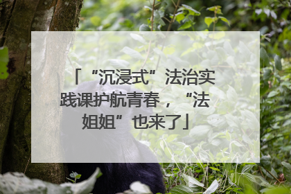 “沉浸式”法治实践课护航青春，“法姐姐”也来了