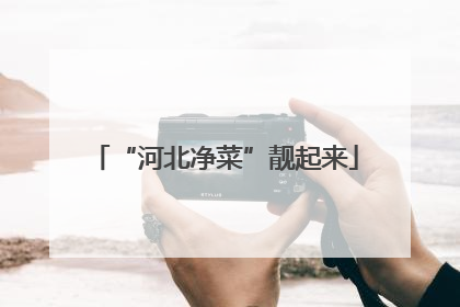 “河北净菜”靓起来