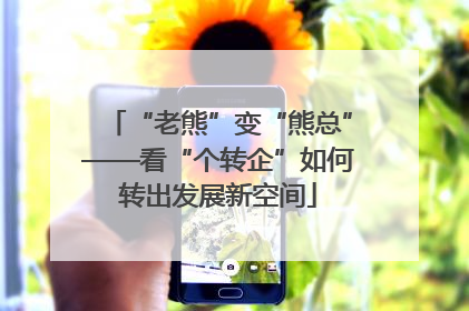 “老熊”变“熊总”——看“个转企”如何转出发展新空间