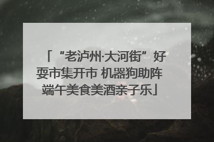 “老泸州·大河街”好耍市集开市 机器狗助阵端午美食美酒亲子乐
