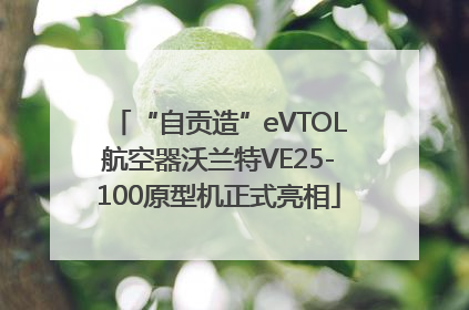 “自贡造”eVTOL航空器沃兰特VE25-100原型机正式亮相
