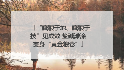 “藏粮于地、藏粮于技”见成效 盐碱滩涂变身“黄金粮仓”