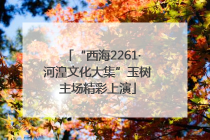 “西海2261·河湟文化大集”玉树主场精彩上演