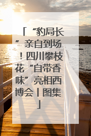 “豹局长”亲自到场！四川攀枝花“自带香味”亮相西博会丨图集