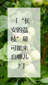 “长安的荔枝”最可能来自哪儿？