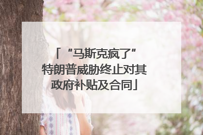 “马斯克疯了” 特朗普威胁终止对其政府补贴及合同