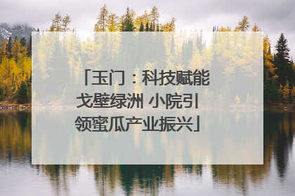 玉门：科技赋能戈壁绿洲 小院引领蜜瓜产业振兴