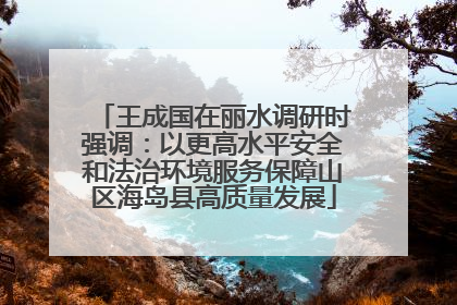 王成国在丽水调研时强调：以更高水平安全和法治环境服务保障山区海岛县高质量发展