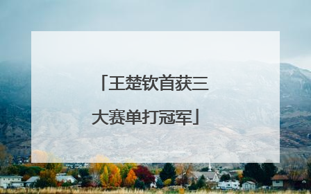 王楚钦首获三大赛单打冠军